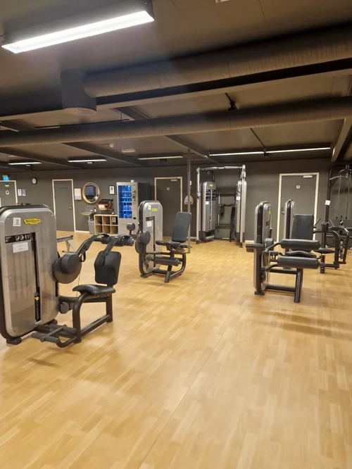 Apparatavdelingen med styrkeapparater hos Trimfit